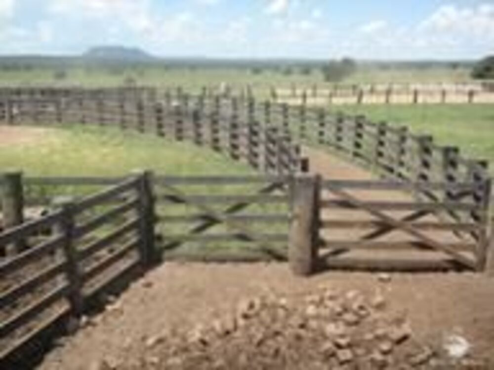 Fazenda à venda com 5 quartos, 54820000m² - Foto 3