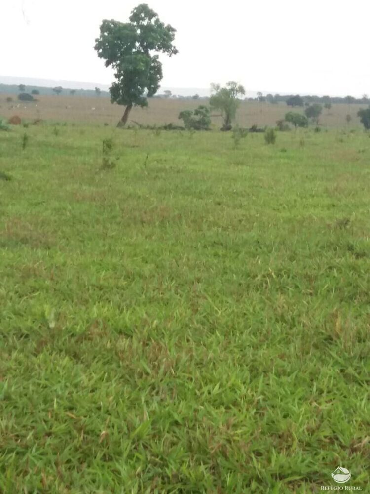 Fazenda à venda com 5 quartos, 54820000m² - Foto 4