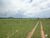 Fazenda, 5482 hectares - Foto 2