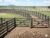 Fazenda, 5482 hectares - Foto 3