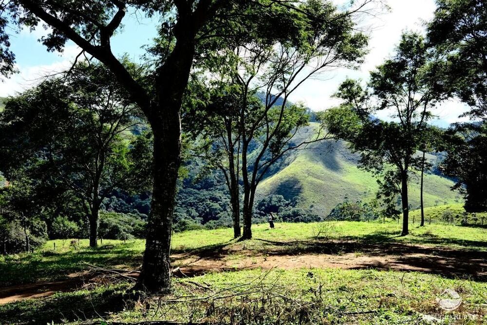 Terreno, 2 hectares - Foto 3