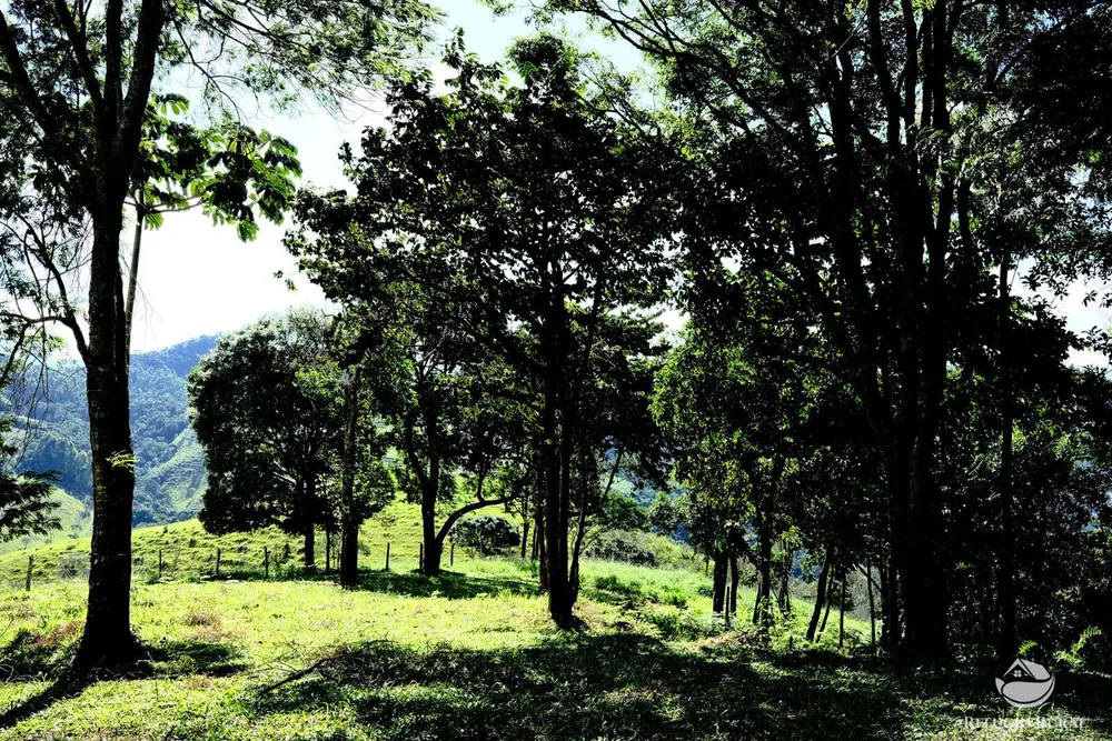 Terreno, 2 hectares - Foto 6