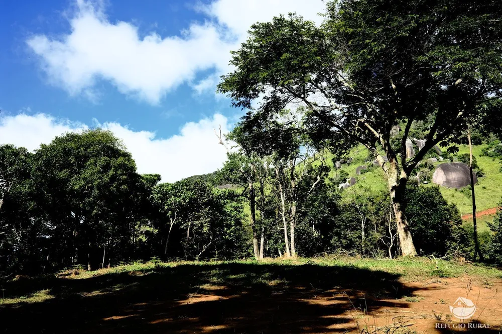 Terreno, 2 hectares - Foto 1