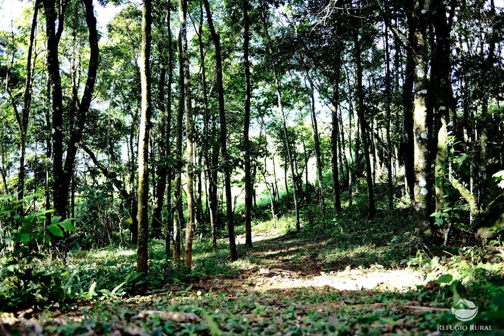 Terreno, 2 hectares - Foto 7