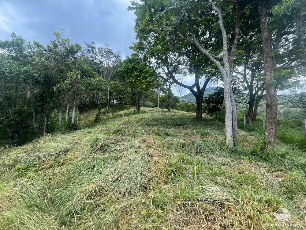 Terreno, 2 hectares - Foto 2