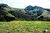Terreno, 2 hectares - Foto 1