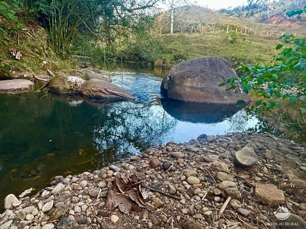 Terreno, 2031 hectares - Foto 10
