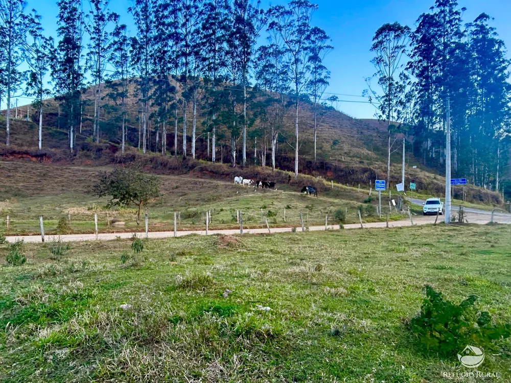 Terreno, 2031 hectares - Foto 1