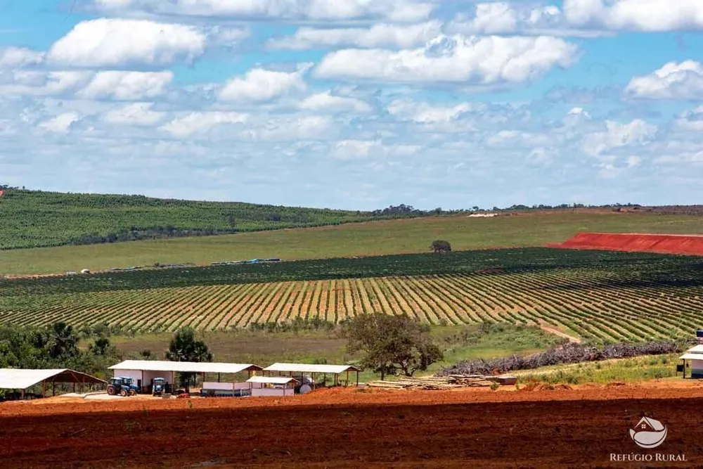 Fazenda, 3000 hectares - Foto 1