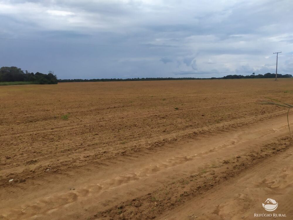 Fazenda à venda com 3 quartos, 8228000m² - Foto 3