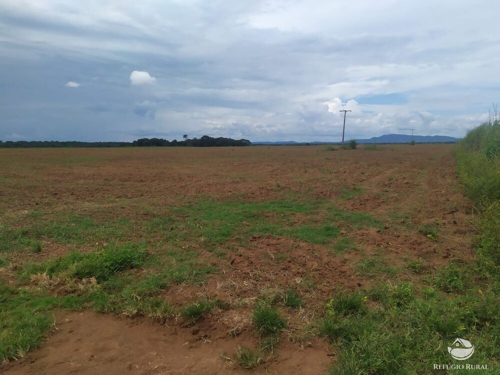 Fazenda à venda com 3 quartos, 8228000m² - Foto 2