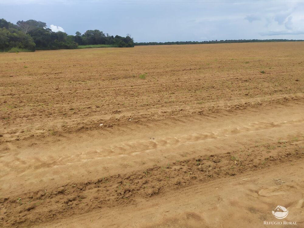 Fazenda à venda com 3 quartos, 8228000m² - Foto 1
