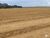 Fazenda, 823 hectares - Foto 1
