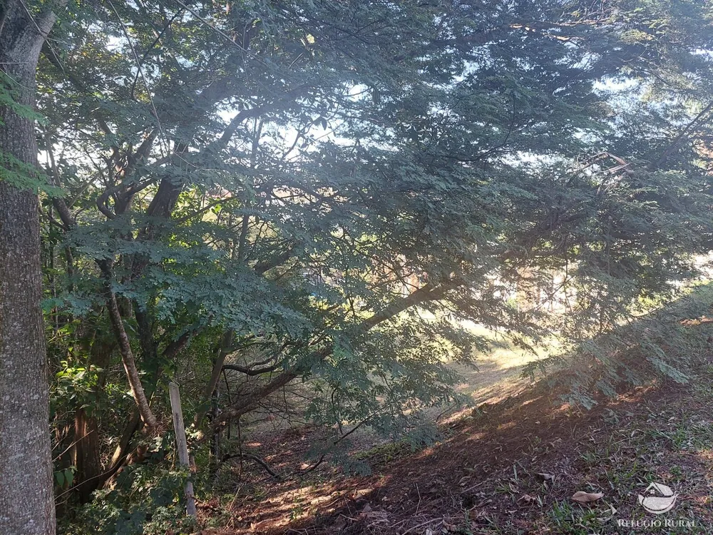 Terreno, 1463 m² - Foto 5