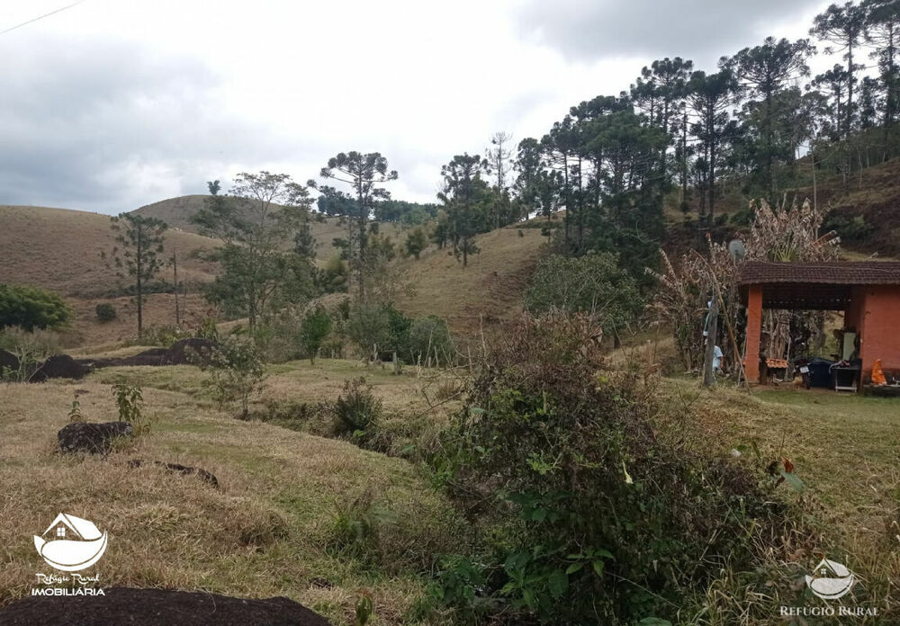 Fazenda, 357 hectares - Foto 5