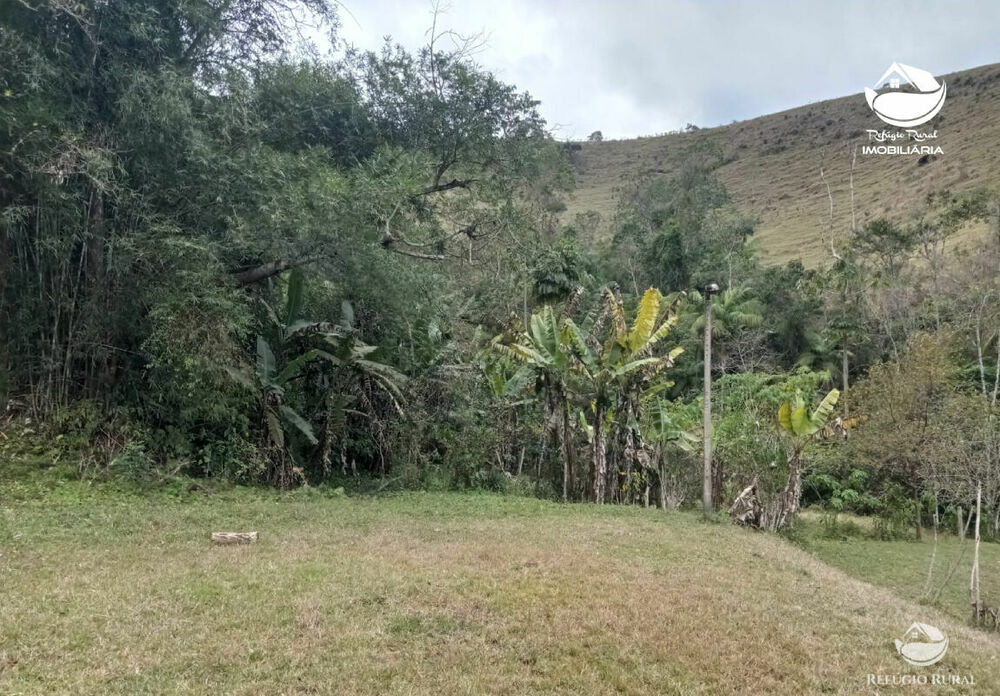 Fazenda, 357 hectares - Foto 13