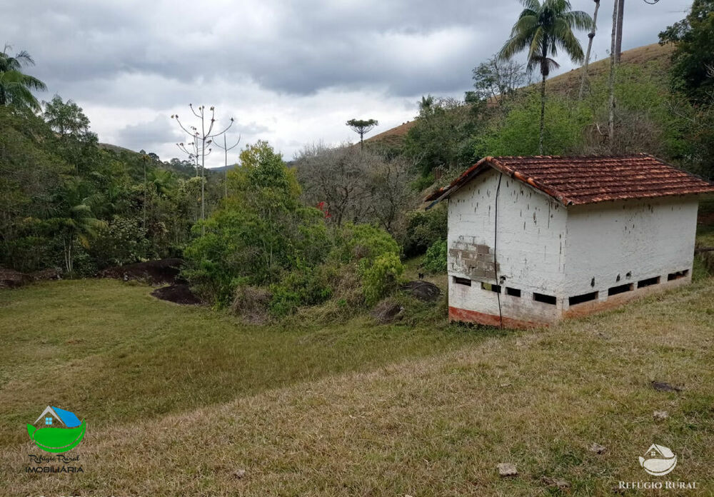 Fazenda, 357 hectares - Foto 6