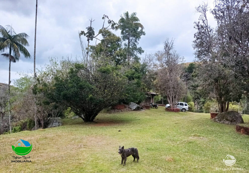 Fazenda, 357 hectares - Foto 20