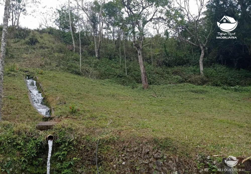 Fazenda, 357 hectares - Foto 7