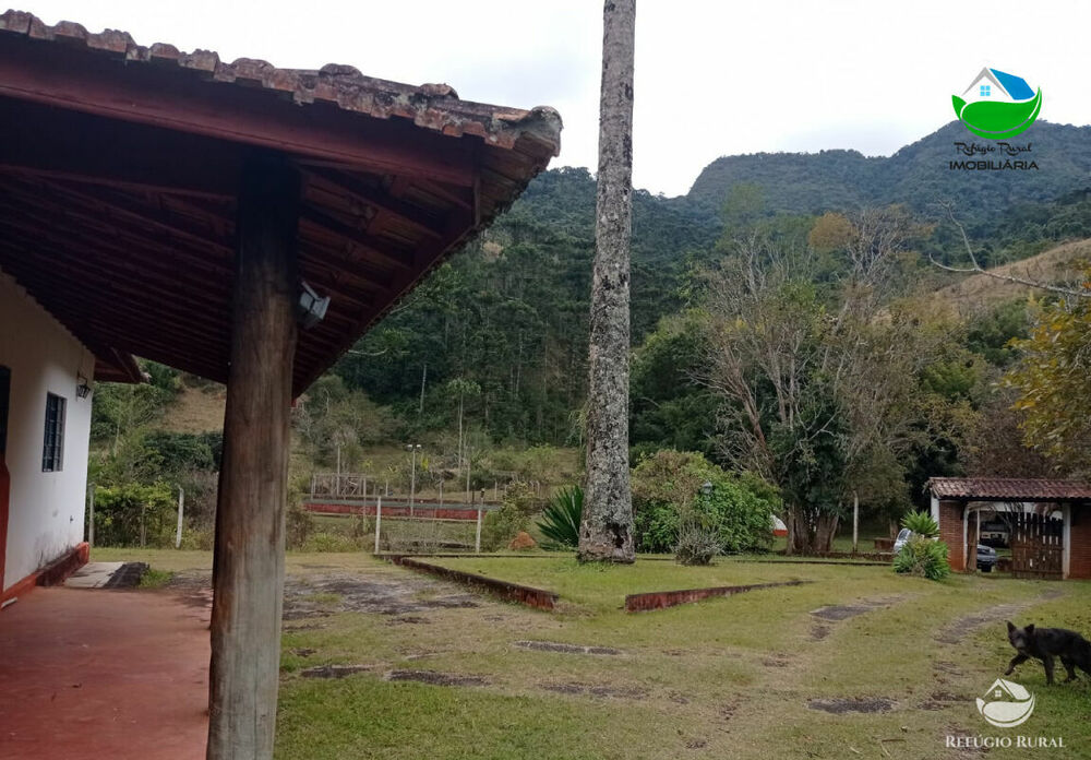 Fazenda, 357 hectares - Foto 4