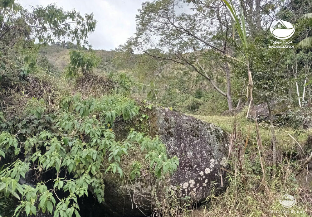 Fazenda, 357 hectares - Foto 24