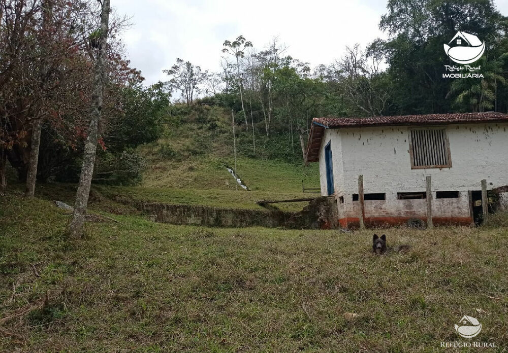 Fazenda, 357 hectares - Foto 3