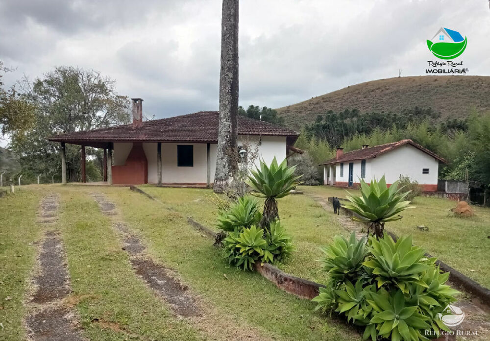 Fazenda, 357 hectares - Foto 14
