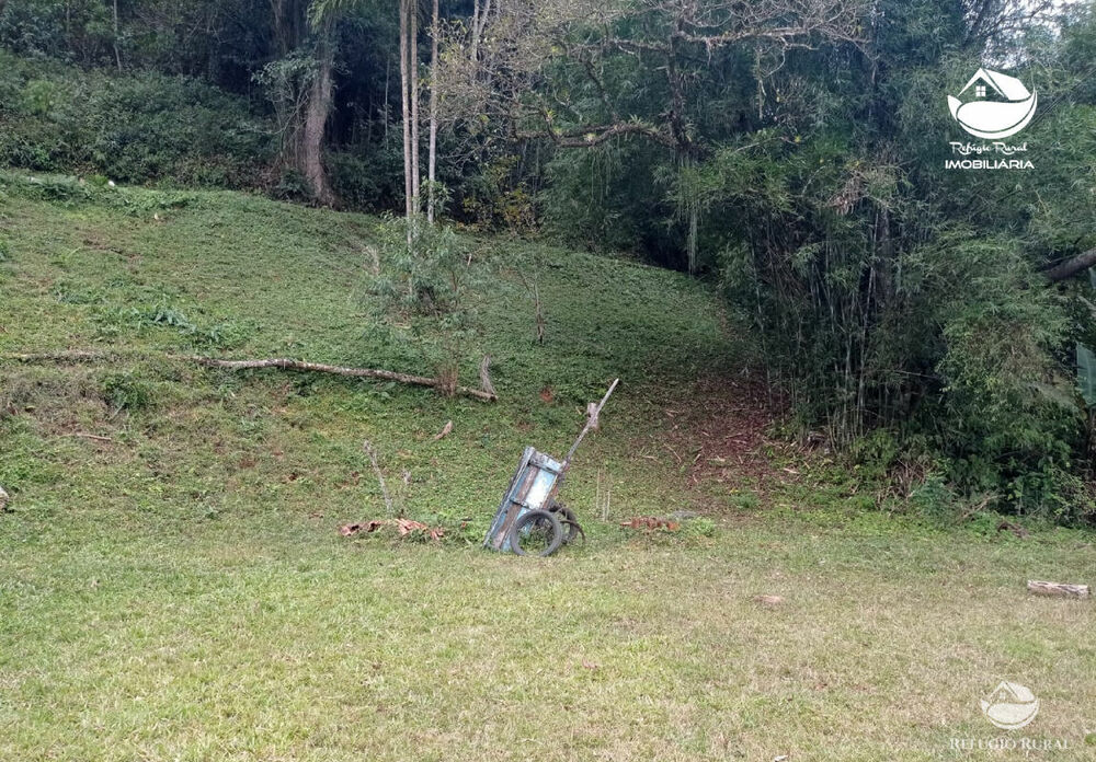 Fazenda, 357 hectares - Foto 10