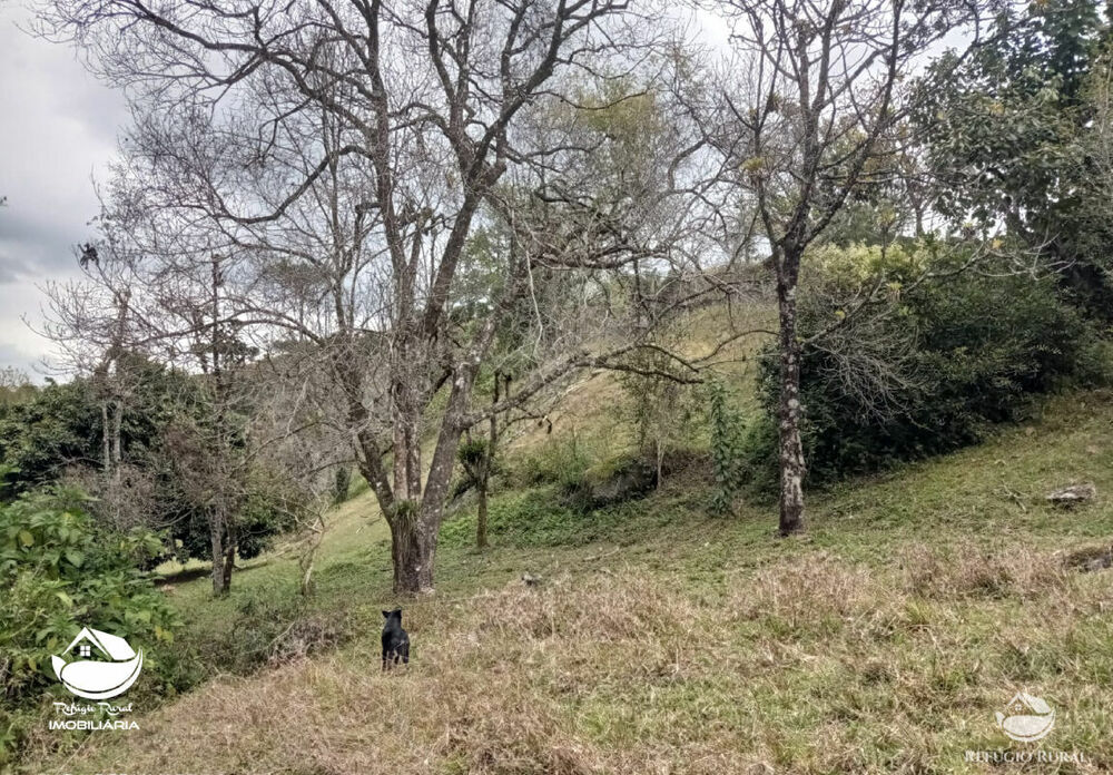 Fazenda, 357 hectares - Foto 17