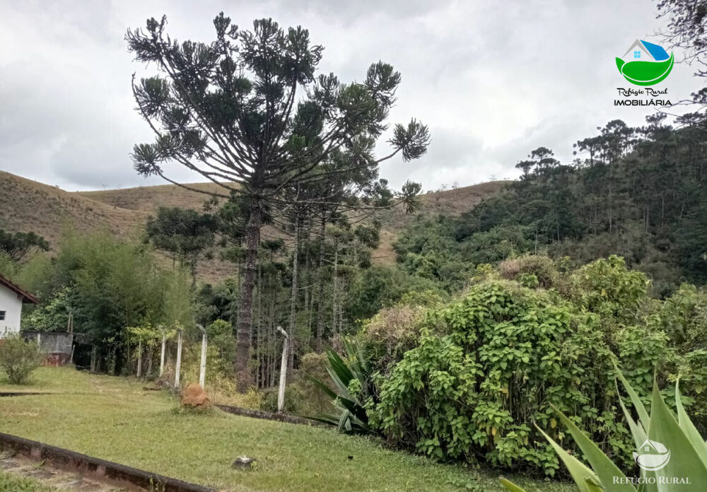Fazenda, 357 hectares - Foto 25