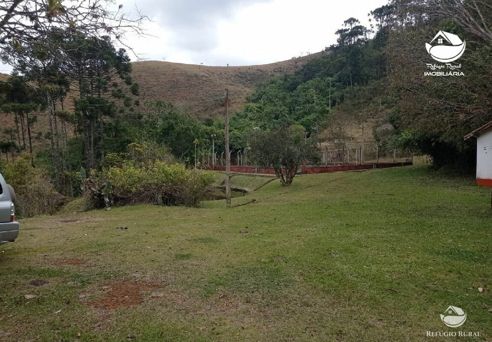 Fazenda, 357 hectares - Foto 11