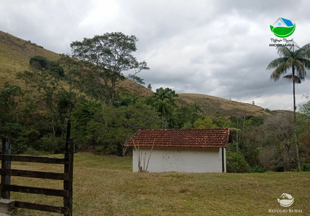 Fazenda, 357 hectares - Foto 8