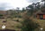 Fazenda-Sítio-Chácara, 357 hectares - Foto 5