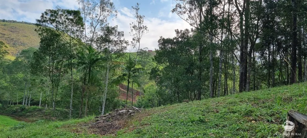 Chácara, 7000 m² - Foto 19
