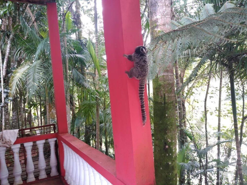 Chácara, 5 quartos, 7000 m² - Foto 6