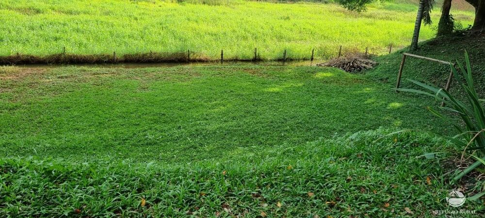 Chácara, 5 quartos, 7000 m² - Foto 5