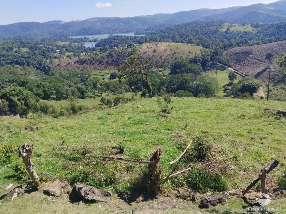 Sítio, 53 hectares - Foto 10