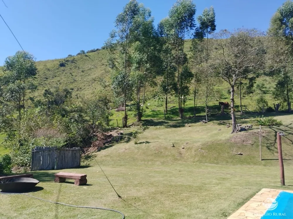 Sítio, 53 hectares - Foto 4