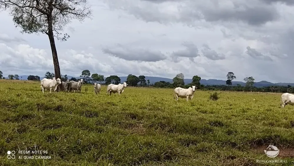 Fazenda, 8567 hectares - Foto 9