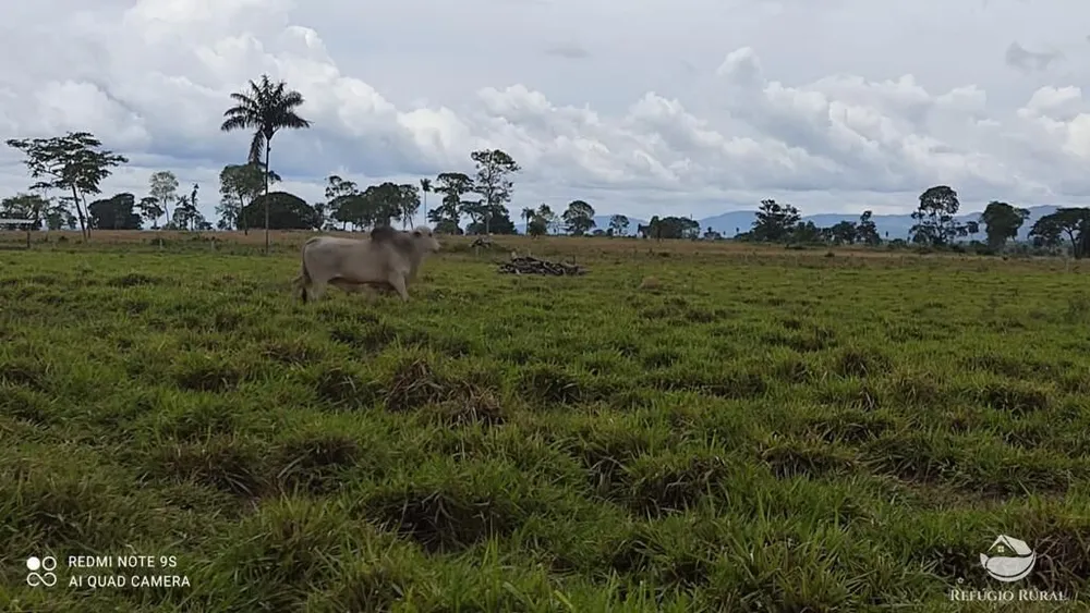 Fazenda, 8567 hectares - Foto 19
