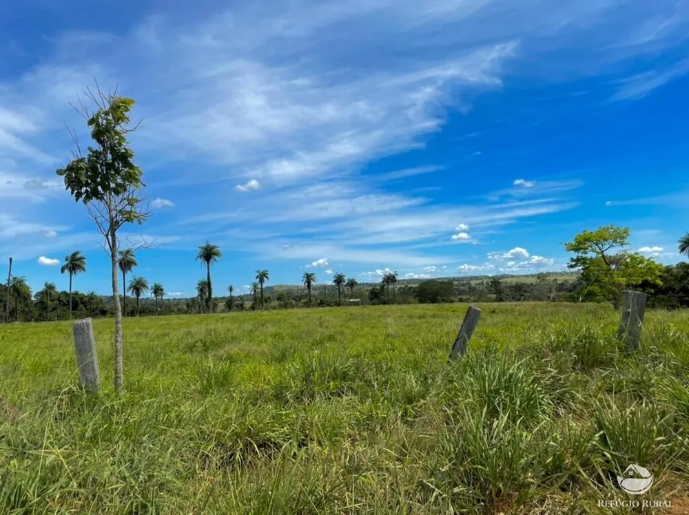 Fazenda, 8567 hectares - Foto 11