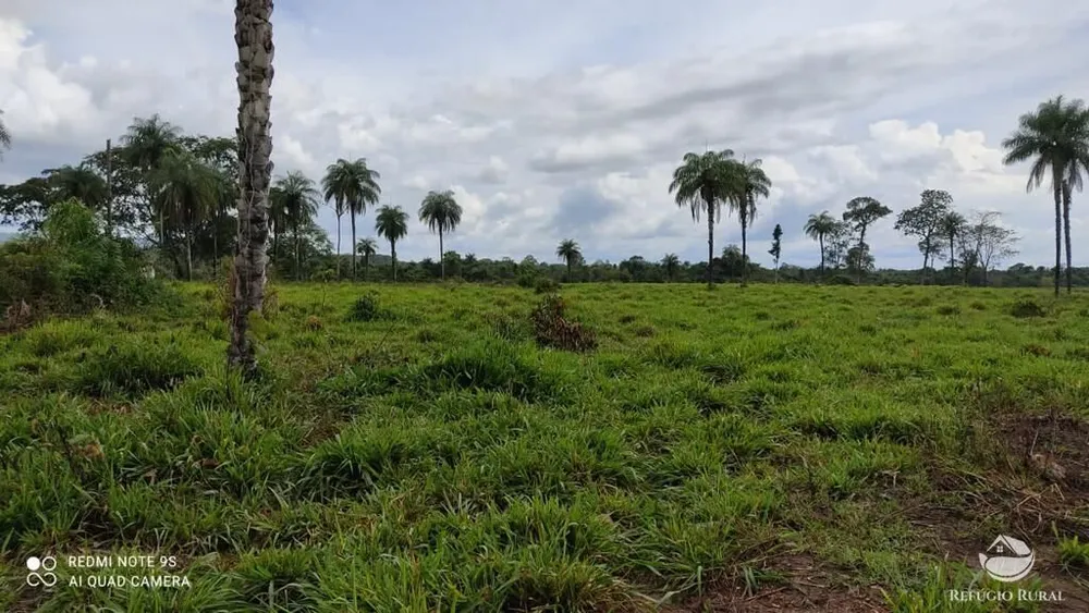 Fazenda, 8567 hectares - Foto 20