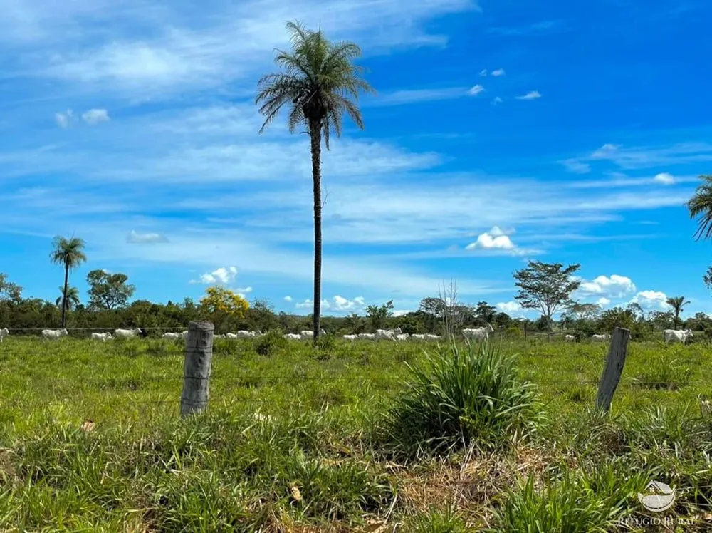 Fazenda, 8567 hectares - Foto 3