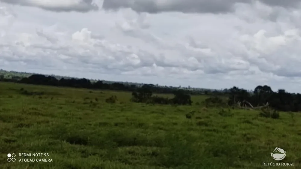 Fazenda, 8567 hectares - Foto 14