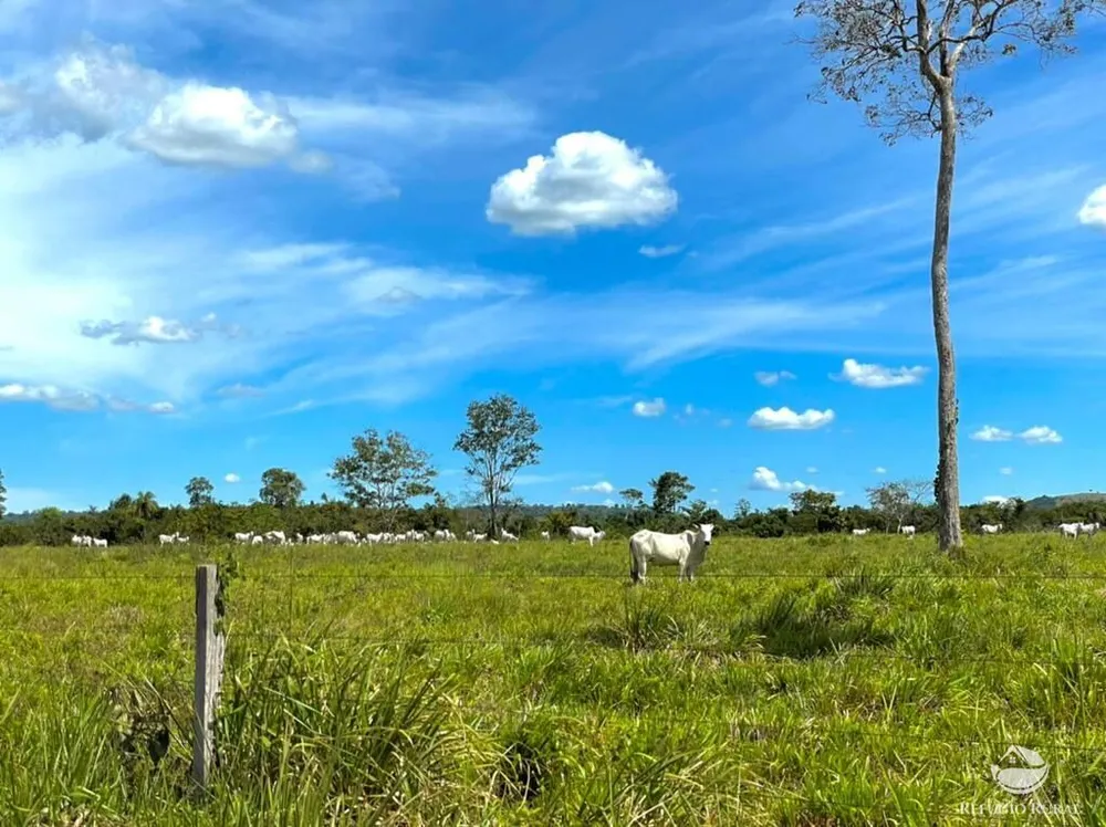 Fazenda, 8567 hectares - Foto 7
