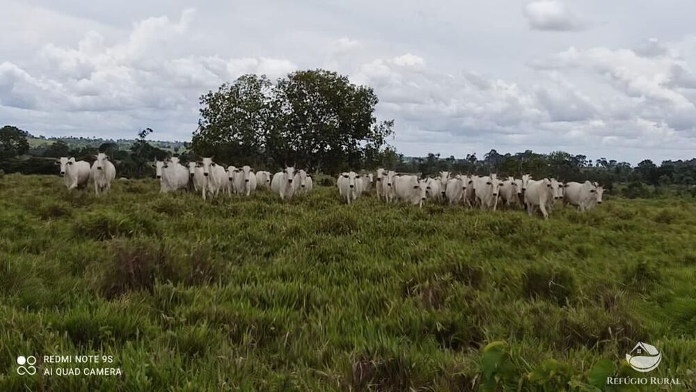 Fazenda à venda com 2 quartos, 85668000m² - Foto 4