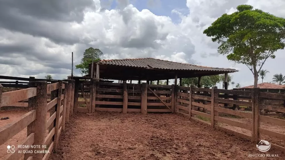 Fazenda, 8567 hectares - Foto 6