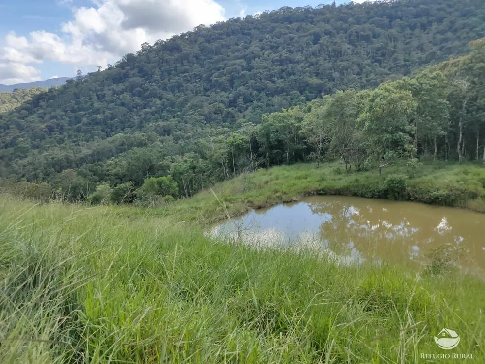 Fazenda, 73 hectares - Foto 1