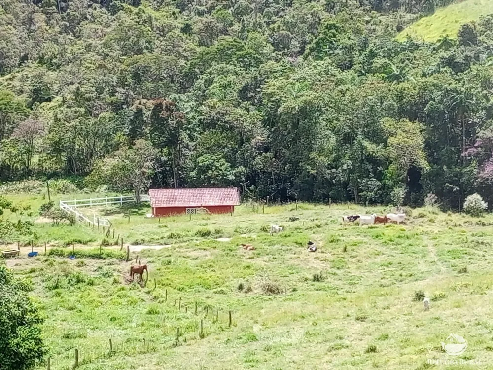 Fazenda, 73 hectares - Foto 11