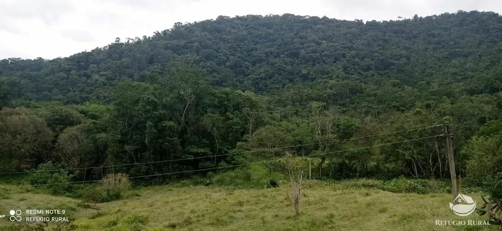 Fazenda, 73 hectares - Foto 10